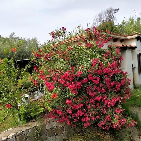 Casa Armas