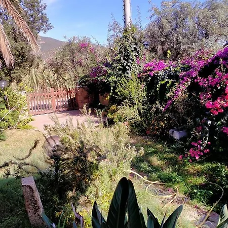 Casa Armas Buggerru